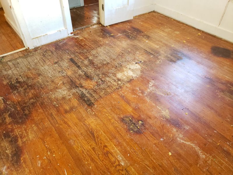Completed Wood Floor Restoration